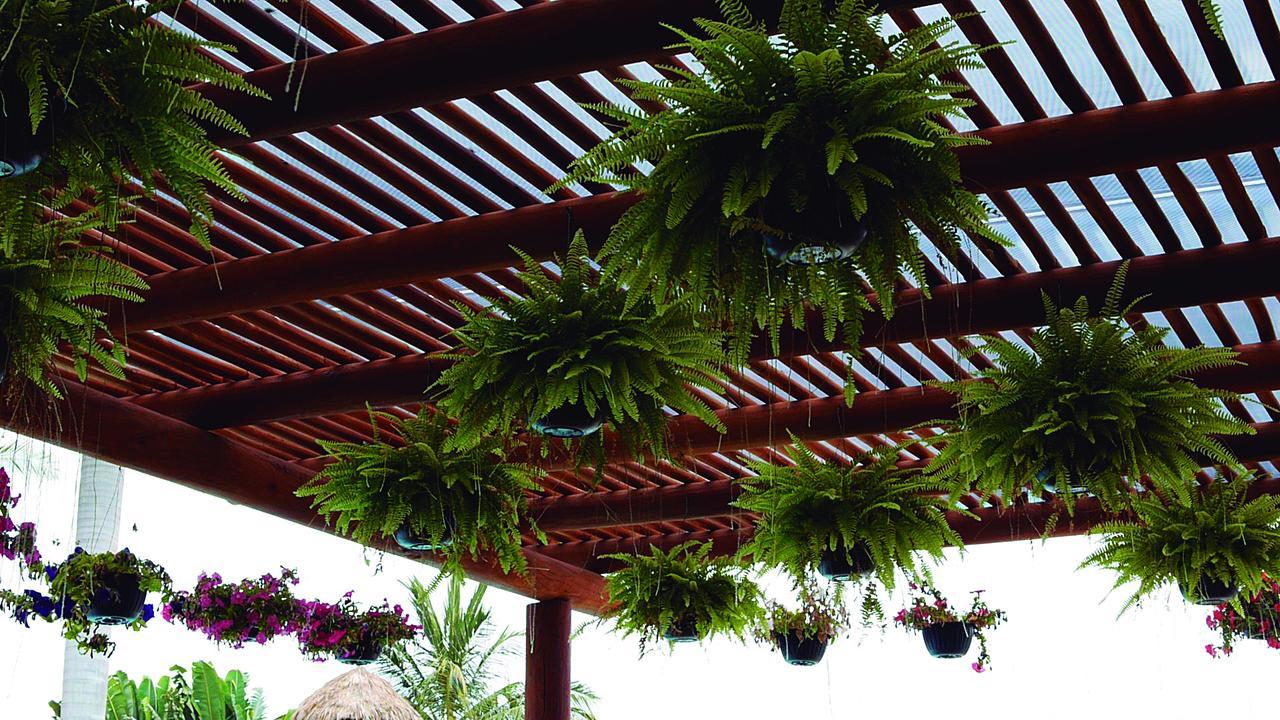 Cabanas Del Capitan Rincón de Guayabitos Exterior foto